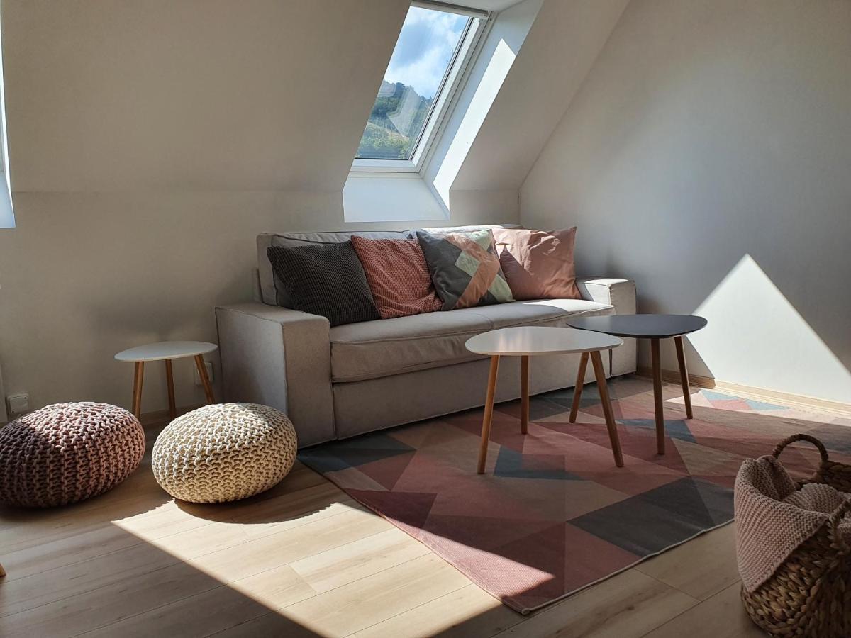Apartmany Brachovna Mikulov v Krusnych Horach Eksteriør billede