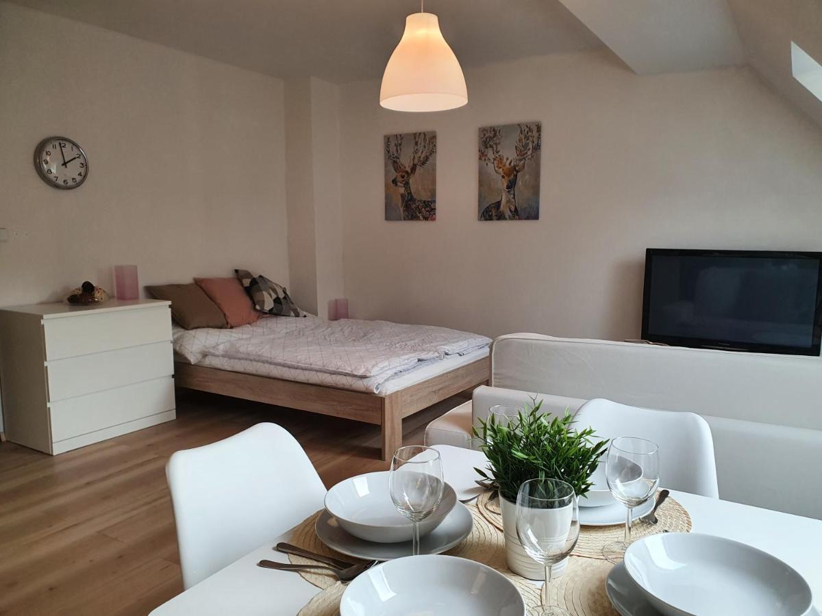Apartmany Brachovna Mikulov v Krusnych Horach Eksteriør billede