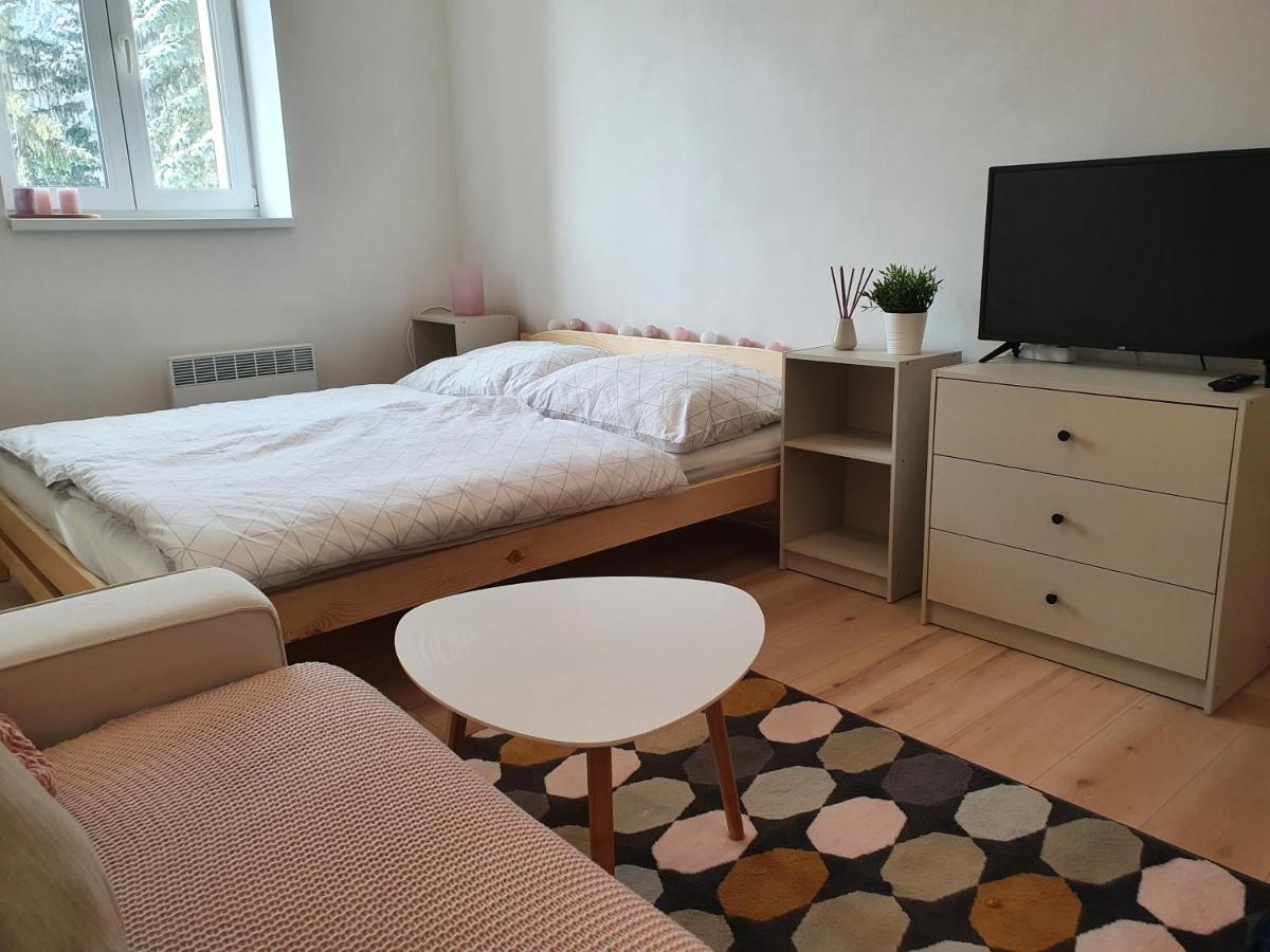 Apartmany Brachovna Mikulov v Krusnych Horach Eksteriør billede