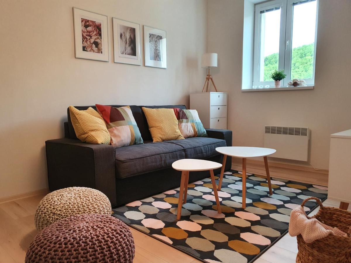 Apartmany Brachovna Mikulov v Krusnych Horach Eksteriør billede