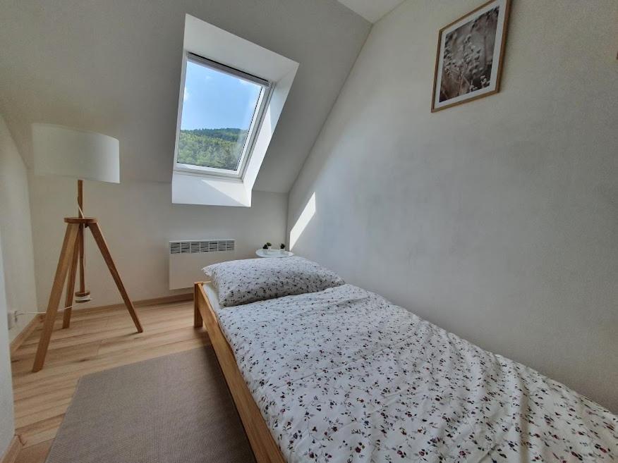 Apartmany Brachovna Mikulov v Krusnych Horach Eksteriør billede